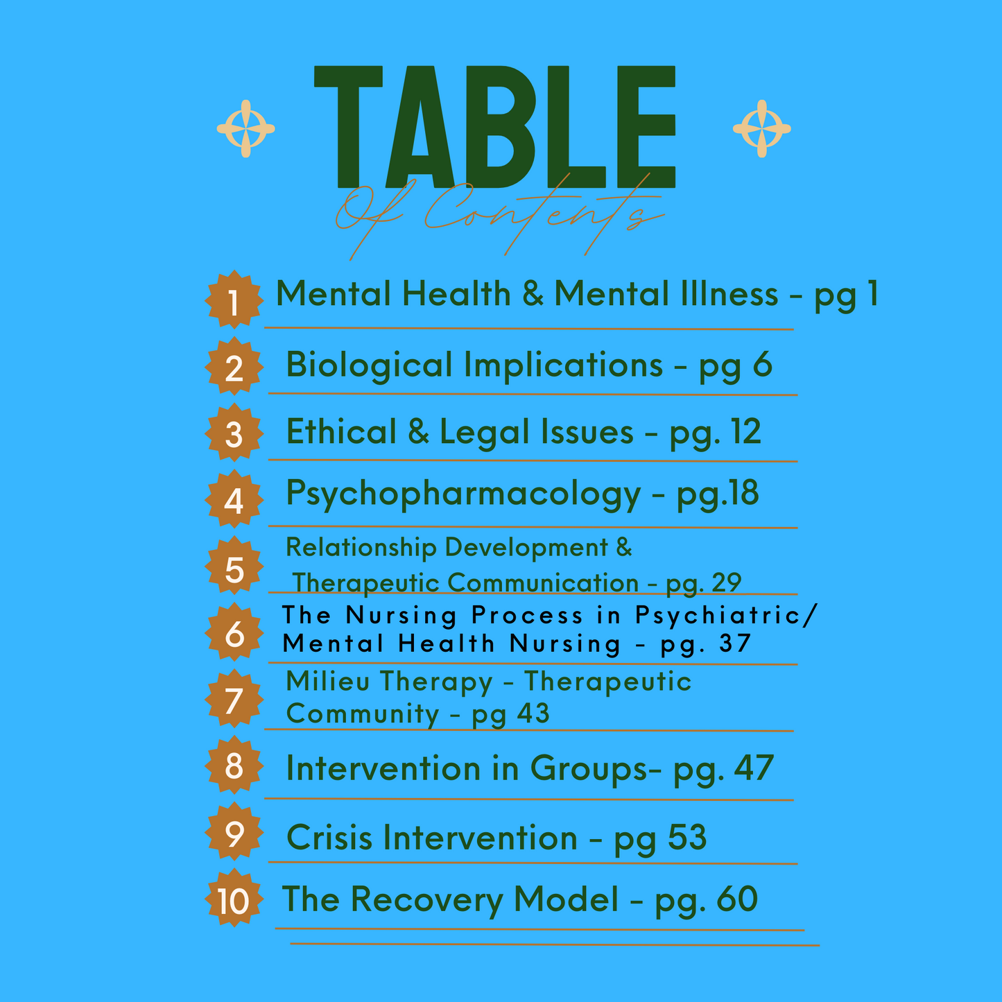 Essentials of Psychiatric Mental Health Nursing Test Bank 8th Ed Study Guie | Evidenced Based | Nursing Student Guide Digital Product